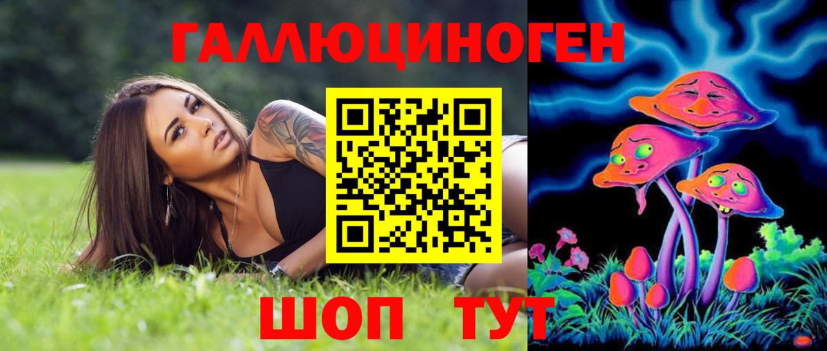 Галлюциногенные грибы Psilocybe  Вход с VPN  Галлюциногенные грибы Psilocybe  Новодвинск 