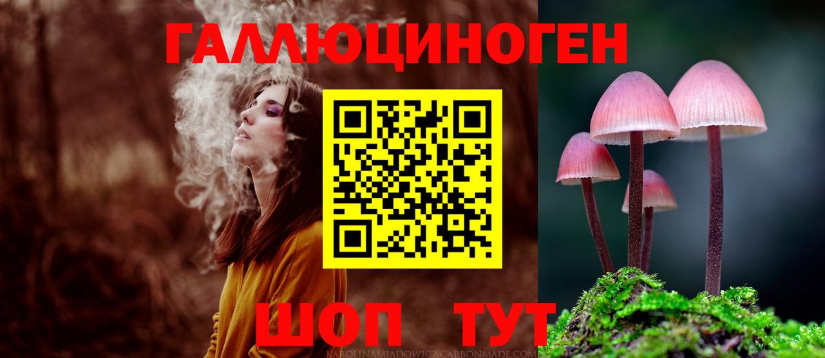 Псилоцибиновые грибы мицелий Новодвинск